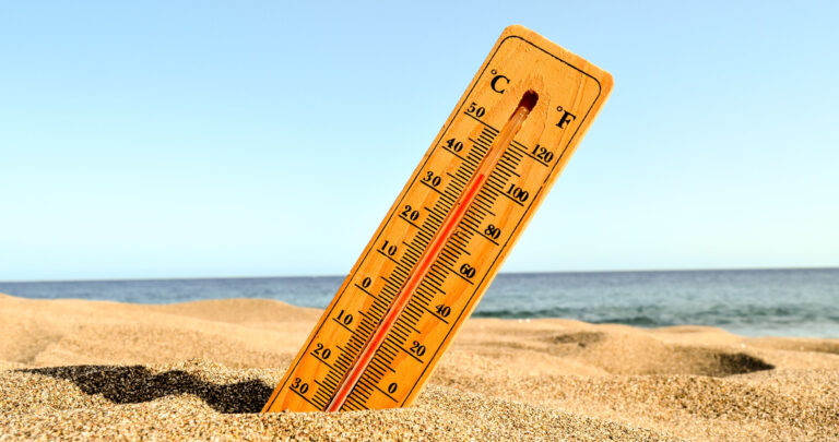 La Piscine et la Canicule